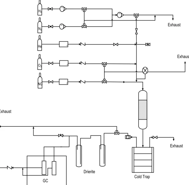 Fig. 2.5–Schema dell'impianto di laboratorio impiegato per le prove catalitiche 