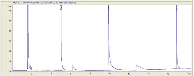 Figura 6: cromatogramma risultante ad un’analisi al gas cromatografo 