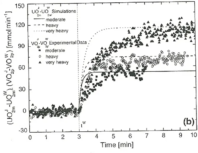 FIGURA 3b. Confronto tra le dinamiche del consumo di ossigeno polmonare  sperimentale e dell’utilizzo di ossigeno muscolare simulato per un soggetto