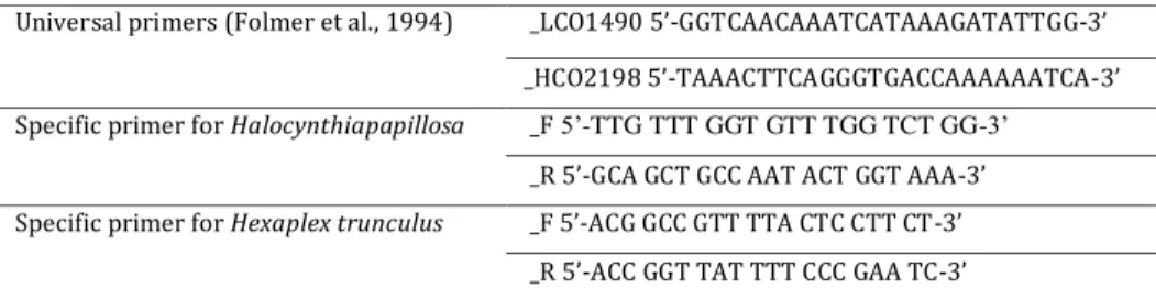 Table 2: Table of universal primers and primers sequences for H. papillosa and H. trunculus