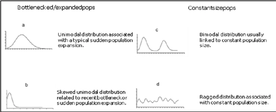 Figure  10:  Main  types  of  mismatch  distributions:  (a)  unimodal  distribution  associated  with  a  typical  sudden  population  expansion;  (b)  skewed  unimodal  distribution  related  to  recent  bottleneck  or  sudden  population  expansion;  (c)