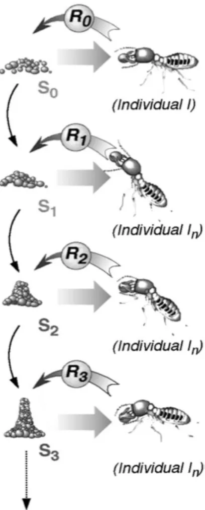 Fig. 2. esempio di processo  stigmergico, come le termiti  costruiscono i pilastri. Si  supponga che l'architettura  raggiunga lo stato S0, il  quale innesca la risposta R0  dal lavoratore I