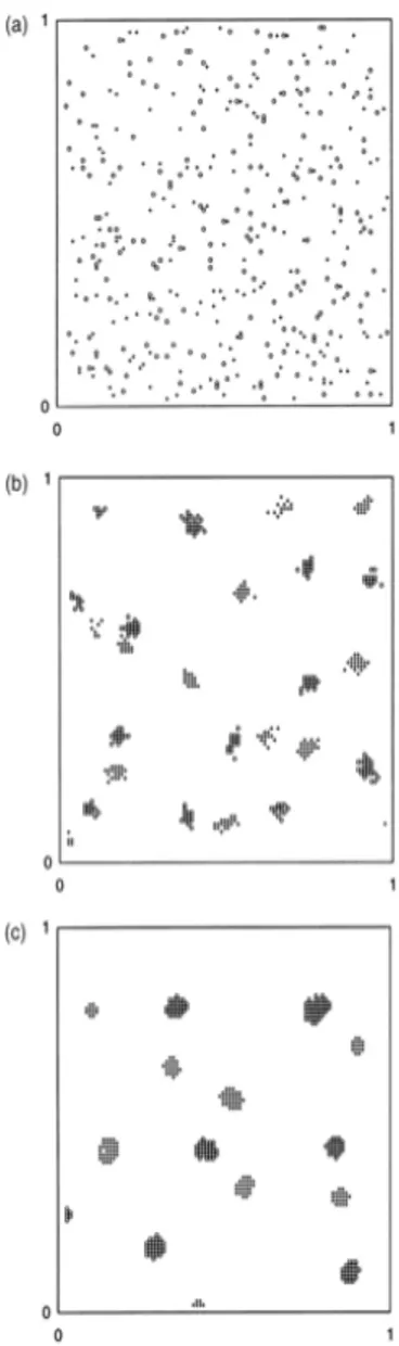 Fig. 12 simulazione del modello di ordinamento. (a) Distribuzione spaziale iniziale di 400  elementi per 2 tipi, denotati da ◦ e +, su una griglia di 100 x 100; (b) distribuzione 