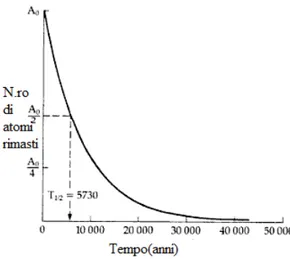 Figura 2.1: Legge di decadimento del radiocarbonio