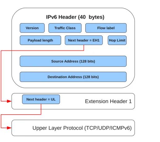 Figure 1.4: An example of the logical structure of one extension header for an IPv6 packet