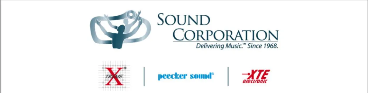 Figura 3 Il marchio Sound Corporation (brand umbrella)   con sotto i tre marchi dedicati a specifici segmenti di mercato 