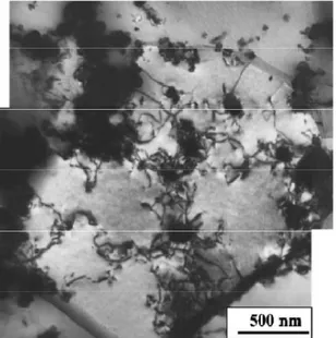 Fig.  24:  Micrografia TEM che mostra le  dislocazioni in corrispondenza di singole  particelle e loro agglomerati, composito  2vol.%Al2O3/Al [8] 