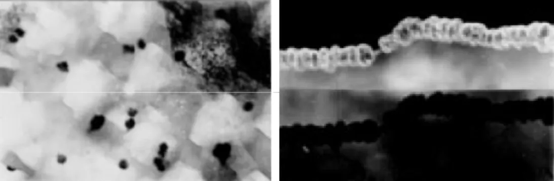 Fig. 45: Immagini TEM delle nano-particelle di allumina prodotte disperse all'interno  dei grani (sin, 21000X) e in corrispondenza del bordo grano (dx, 27000X) [7] 