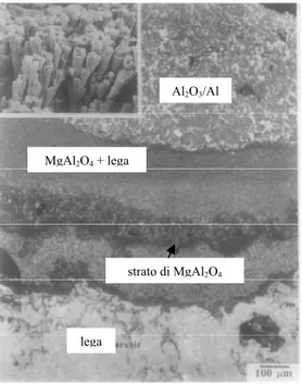 Fig. 47: Sezione dei vari strati generati dal  processo DIMOX, particolare relativo alla  struttura 3D dell'allumina [2] 