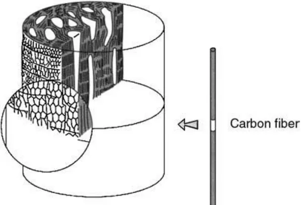 Figura 2.4, fibra di carbonio formata da catene esagonali. 