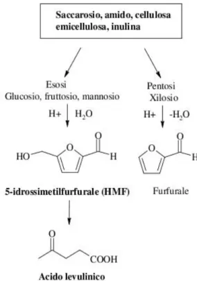 Figura 1.4: Prodotti di disidratazione dei monosaccaridi 