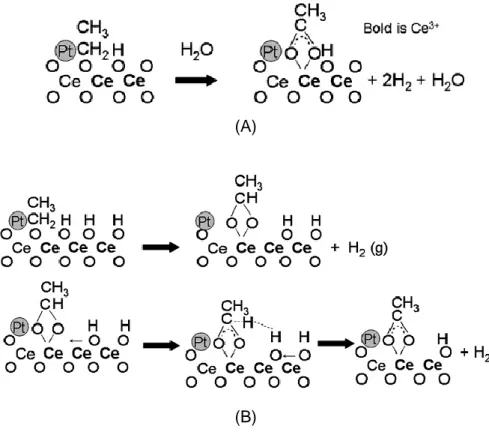 Figure 1.3—10. Acetate formation by two routes: (A) the hydroxyl route (without changing Ce oxidation  state) and (B) via type II OH groups 