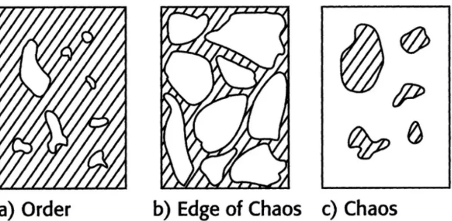 Figure 2.4: Schematic view of the ordered, edge of chaos and chaotic regime in Boolean networks with genes arranged on two-dimensional square lattice.