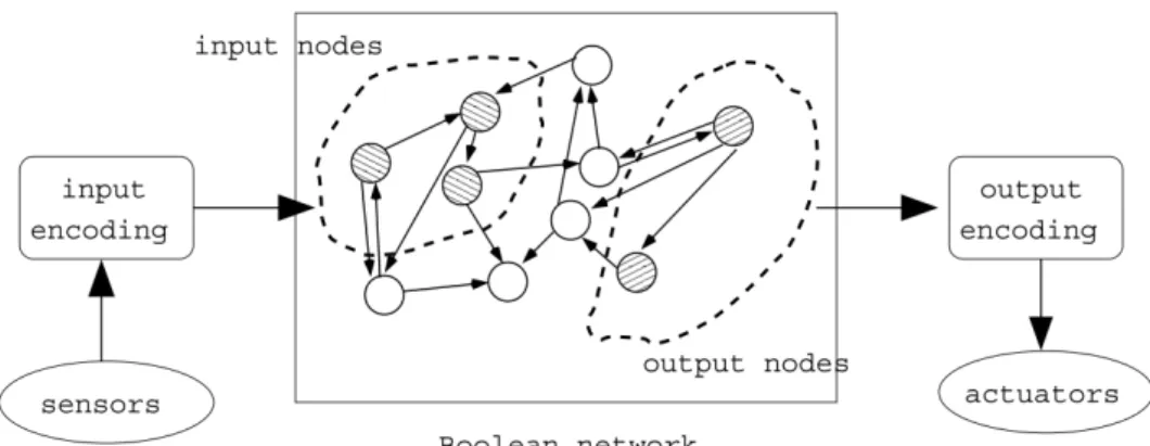 Figure 3.2: Coupling Between BN and robot.