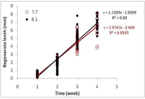 Figure n.11. for the temperature 14°C  linear regression of the   control and the treatment for a experimental period of 4 weeks