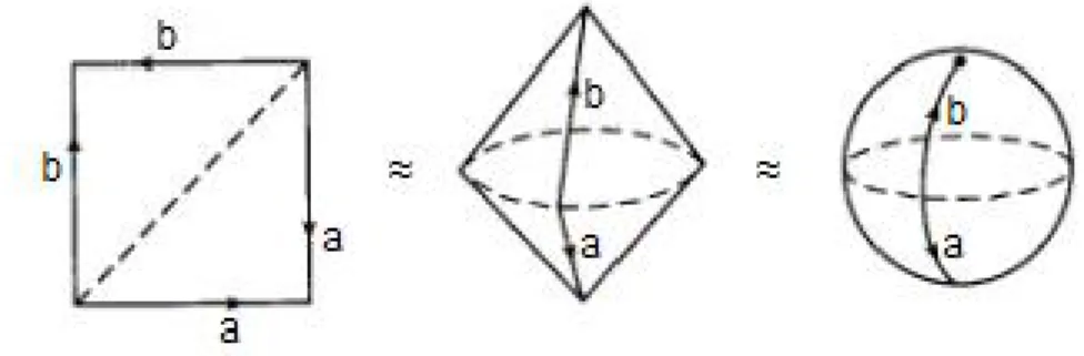 Figura 1.12: Costruzione di una sfera a partire da una regione quadrata. relazione di equivalenza si dice che ` e stato ottenuto “incollando insieme i lati di P ” secondo le orientazioni date e l’etichettamento.