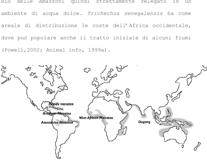 Figura 9. Distribuzione delle tre specie di lamantino e dugongo