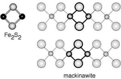 Figura 9  O mologia tra la struttura del cluster acquoso di Fe 2 S 2  e la mackinawite