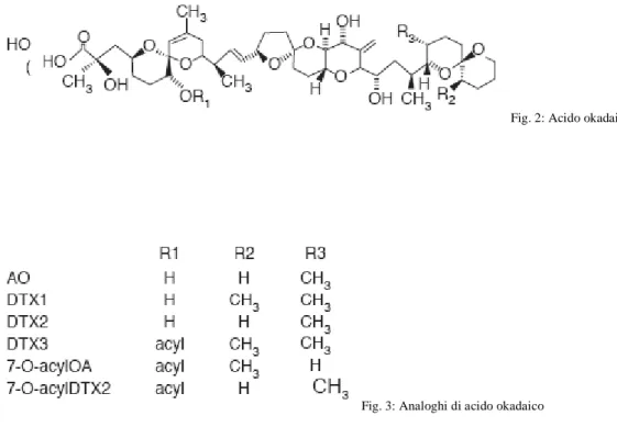 Fig. 2: Acido okadaico 