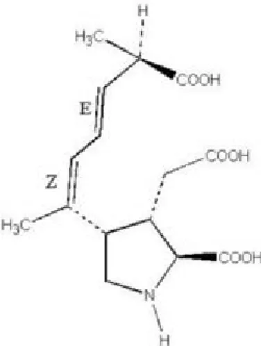 Fig. 6: acido domoico