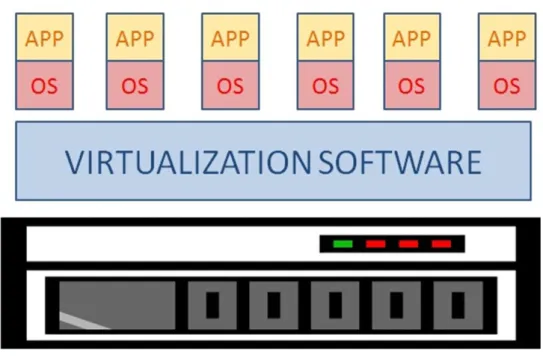 Figura 1.3: Esempio di Server Multi-Tenant