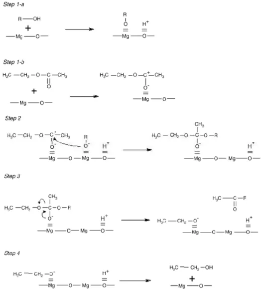 Fig.  4.3.1  -Meccanismo  di  reazione  proposto  per  reazioni  di  transesterificazione  con  fasi  attive  come  magnesio  ossido e idrotalciti