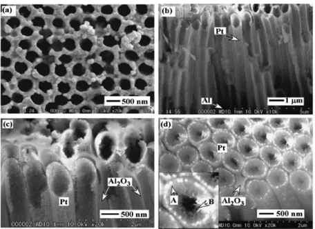 Fig. 3  Immagine SEM di nanotuboli di Pt in film di allumina porosa dopo  deposizione a tempi diversi: (a-c) 3 min e (d) 7 min