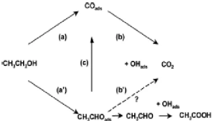 Fig. 6  Meccanismo di ossidazione dell’etanolo [33].