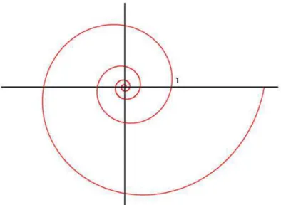 Figura 3.4: Spirale logaritmica con il parametro a = 1.