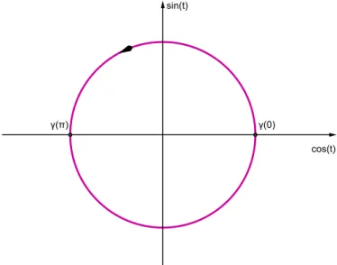Figura 1.1: Traccia della curva γ