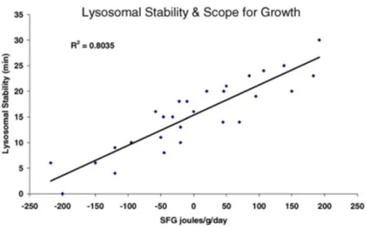 Fig. 1.16 la stabilità lisosomiale mostra una correlazione diretta con la vitalità delle larve (Moore et al., 2004) 