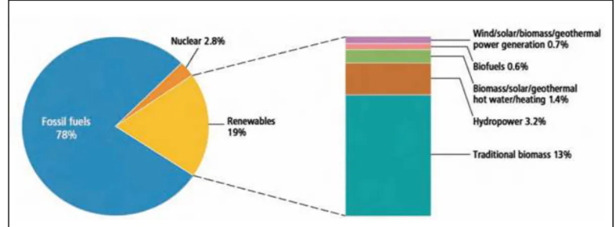 Figura 3. Grafico della quota di energie rinnovabili rispetto al consumo energetico globale (valori relativi  al 2008)
