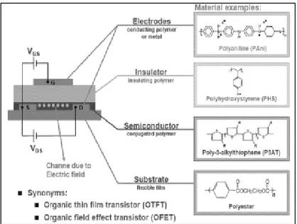 Figura 30. Schema di FET che utilizza polimeri organici (PFET). 