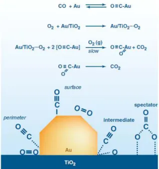 Figura 2-4 Possibile meccanismo di reazione per l’ossidazione del CO con catalizzatore Au/TiO 2 8 