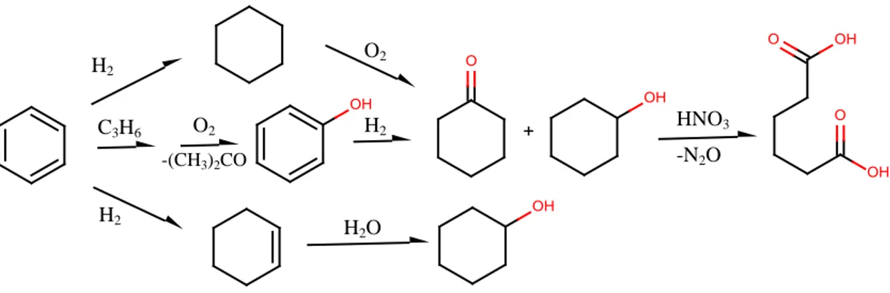 Figura 2.3.0 Schema riassuntivo della produzione di AA a partire da benzene