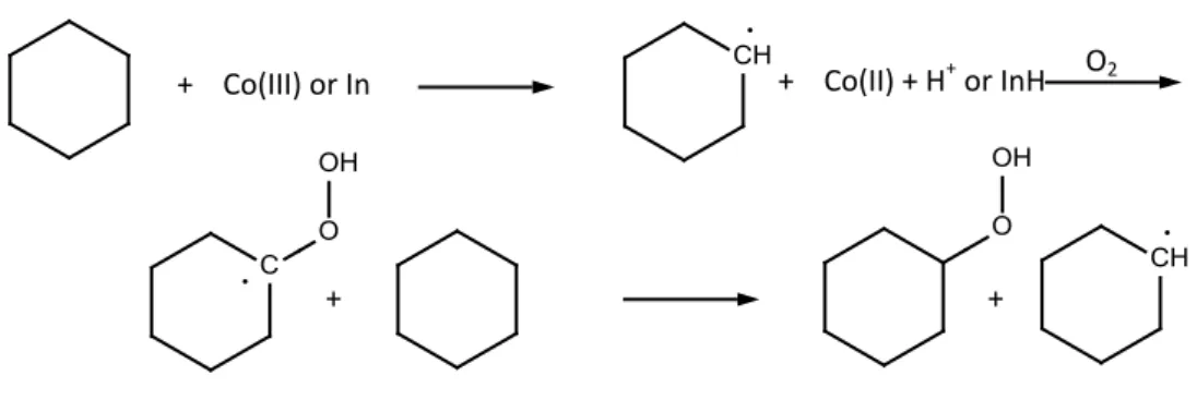Figura 2.3.1 Formazione del cicloesilidroperossido