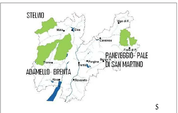 Figura  1.  Il  Parco  Nazionale  dello  Stelvio  ed  i  Parchi  Naturali  Adamello-Brenta  e  Paneveggio-Pale di San Martino