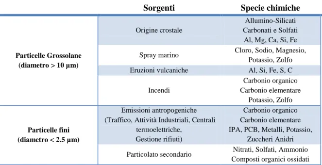 Tabella 1.1: Composizione del particolato atmosferico in base alle sorgenti emissive 
