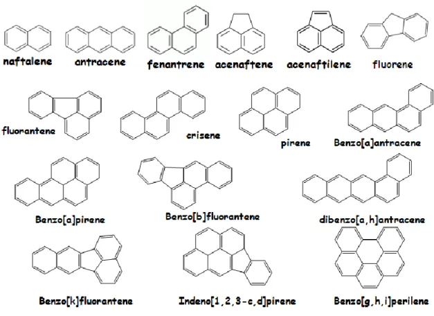 Figura 1.6: Le strutture dei 16 idrocarburi policiclici aromatici inseriti nella lista dei ―priority  polluttants‖ dell’ EPA (Environmental Protection Agency)