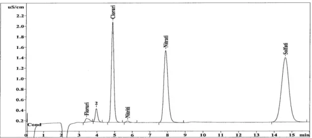 Figura 2.10: Tipico cromatogramma ottenuto dall’analisi degli anioni 