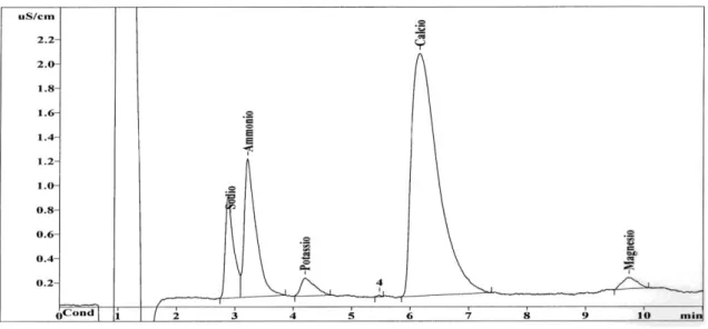 Figura 2.11: Tipico cromatogramma ottenuto dall’analisi dei cationi 