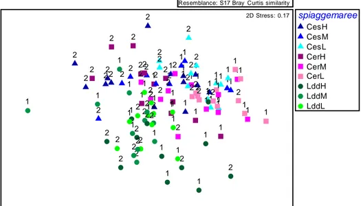 Figura  4.3    MDS  ottenuto  dall‟analisi  tramite  l‟indice  di  Bray  Curtis  sui  dati  assoluti  relativo  alla  meiofauna
