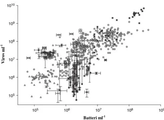 Fig.  1.4  –  Correlazioni  tra  le  abbondanze  virali  e  batteriche  in  acque  dolci  ( )  e  ambienti oceanici, costieri ( ) e pelagici ( )