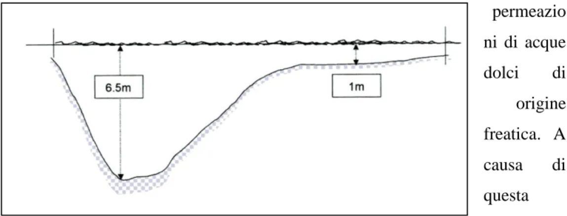 Fig. 1.7 - Profilo verticale del lago di Ganzirri 