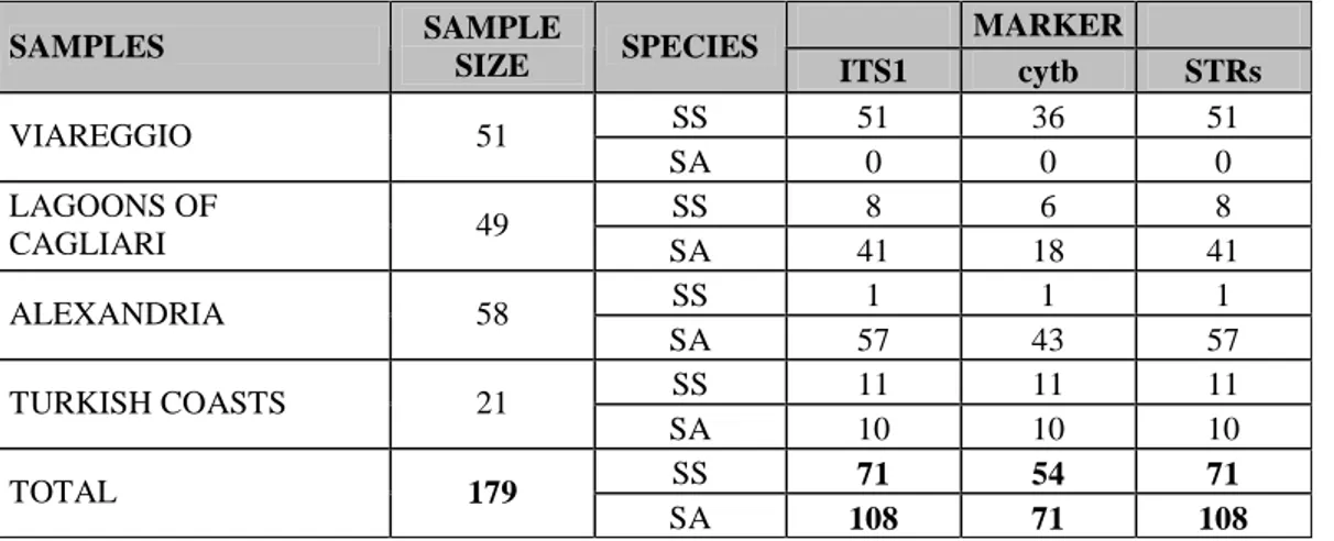 Tab. 4.1: Summary results of the multiplex PCR ITS1 assay for species identification in the ITS1 and  other two markers of the four population samples
