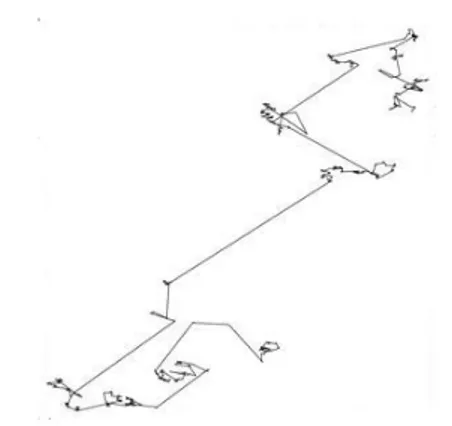 Figura 4.1: Un tipico volo di L´ evy bi-dimensionale. In questo volo di L´ evy la direzione dei passi ` e isotropa.