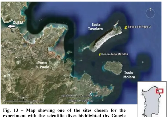 Fig.  13  –  Map  showing  one  of  the  sites  chosen  for  the  experiment  with  the  scientific  dives  highlighted  (by  Google  Earth)