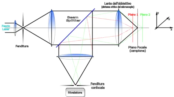 Fig. 9 Schema ottico di un microscopio confocale ed effetto dell’ottica confocale sulla profondità di  campo