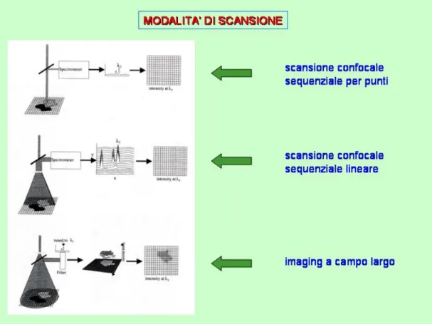 Fig. 10 Schema delle possibili modalità di scansione per il raman imaging: puntuale, lineare,  bidimensionale