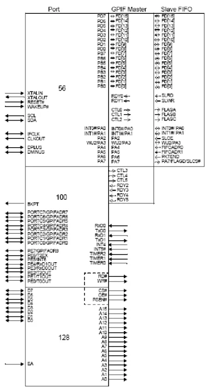 Figura 3.4 Schema di confronto delle le versioni del CYC68013 
